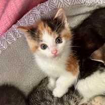 Thumbnail photo of Shirley #2