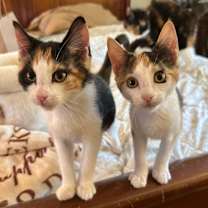 Thumbnail photo of Shirley #3