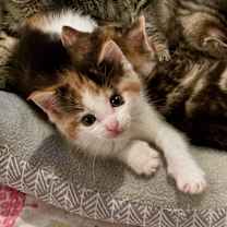 Thumbnail photo of Shirley #4