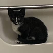 Thumbnail photo of Eva #2