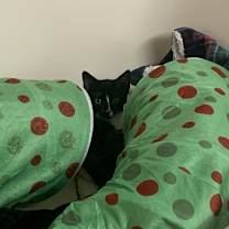 Thumbnail photo of Eva #4