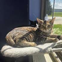 Thumbnail photo of Mindy #1