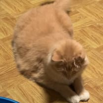 Thumbnail photo of Olivia Estep #1