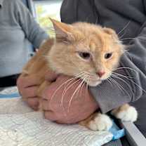 Thumbnail photo of Olivia Estep #3