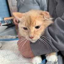 Thumbnail photo of Olivia Estep #4