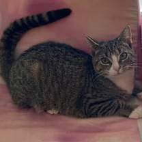 Thumbnail photo of Issy #1