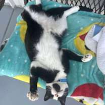 Thumbnail photo of Gabe #2