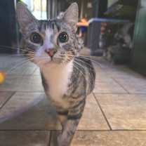 Thumbnail photo of Muddy Buddy #3