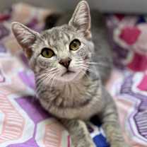 Thumbnail photo of Sylvie #4