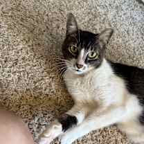 Thumbnail photo of Susan  #1