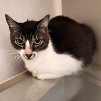 Thumbnail photo of Susan  #2