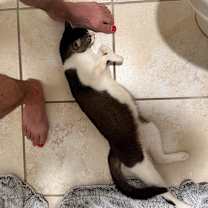 Thumbnail photo of Susan  #3