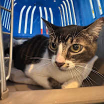 Thumbnail photo of Susan  #4