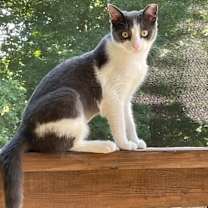 Thumbnail photo of Graby Loren #2