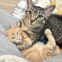 Thumbnail photo of Shelly #2