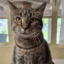 Thumbnail photo of Eve #2