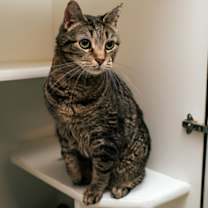 Thumbnail photo of Chirp #3