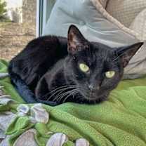 Thumbnail photo of January #4