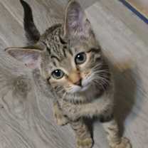 Thumbnail photo of Alexie #3