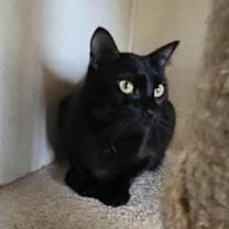 Thumbnail photo of Candace #2