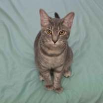 Thumbnail photo of Millie #1