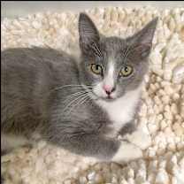 Thumbnail photo of Alister #1