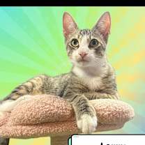 Thumbnail photo of Larry & Paula #2