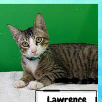 Thumbnail photo of Larry & Paula #3