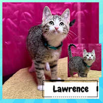 Thumbnail photo of Larry & Paula #4