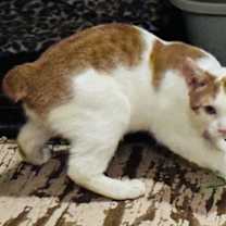 Thumbnail photo of Timothy #2