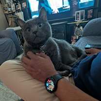 Thumbnail photo of Tom #3