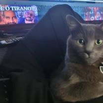 Thumbnail photo of Tom #2