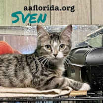 Thumbnail photo of Sven #4