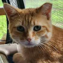 Thumbnail photo of Flynn Rider #2