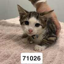 Thumbnail photo of Abrielle #2