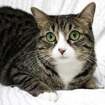 Thumbnail photo of Evie #2