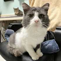 Thumbnail photo of DJ - KBC #2