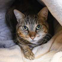 Thumbnail photo of Winky #2