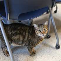 Thumbnail photo of Winky #3