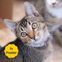 Thumbnail photo of Marlowe #1