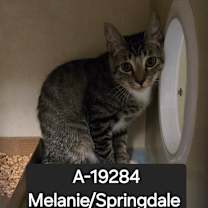 Thumbnail photo of LoveShack #2