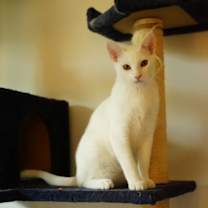 Thumbnail photo of Yogurt #2