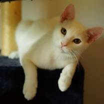 Thumbnail photo of Yogurt #4