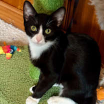 Thumbnail photo of Petra #1