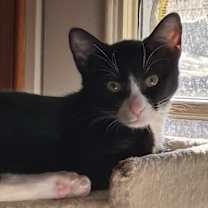 Thumbnail photo of Petra #2