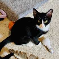 Thumbnail photo of Petra #3