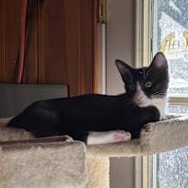 Thumbnail photo of Petra #4