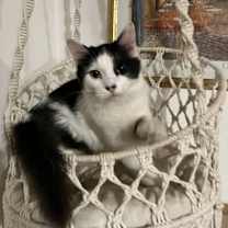 Thumbnail photo of Houston #1