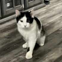 Thumbnail photo of Houston #2