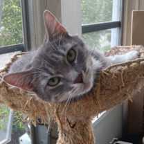 Thumbnail photo of Kyndra #2